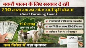बकरी पालन के लिए सरकार दे रही ₹10 लाख तक का लोन: जानें पूरी योजना (Goat Farming Loan)